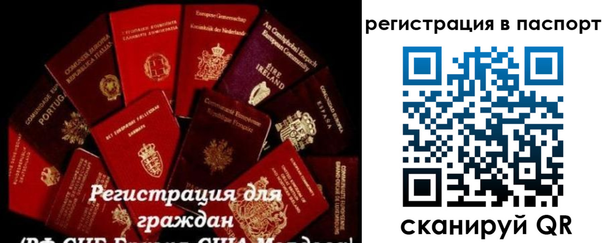 миграционный учет в Брянске